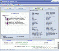 ABC Amber HxS Converter screenshot